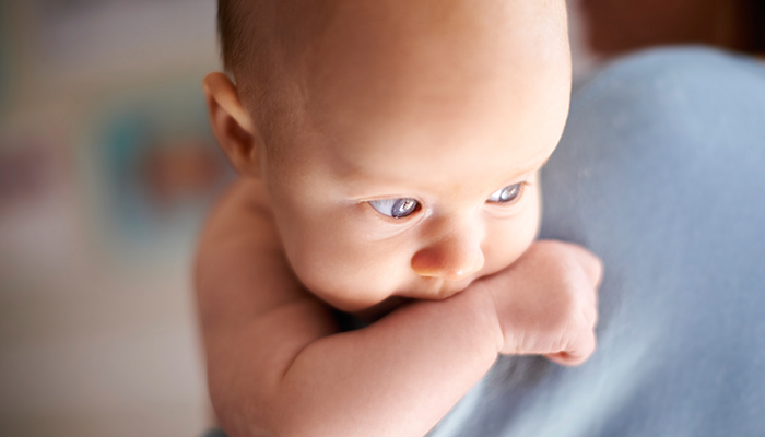 Tüp bebek ile Mikroenjeksiyon Arasındaki Fark Nelerdir?
